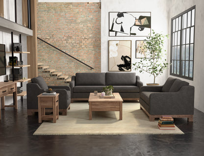 Wooden Frame & Base, Armchair - Iron Gray