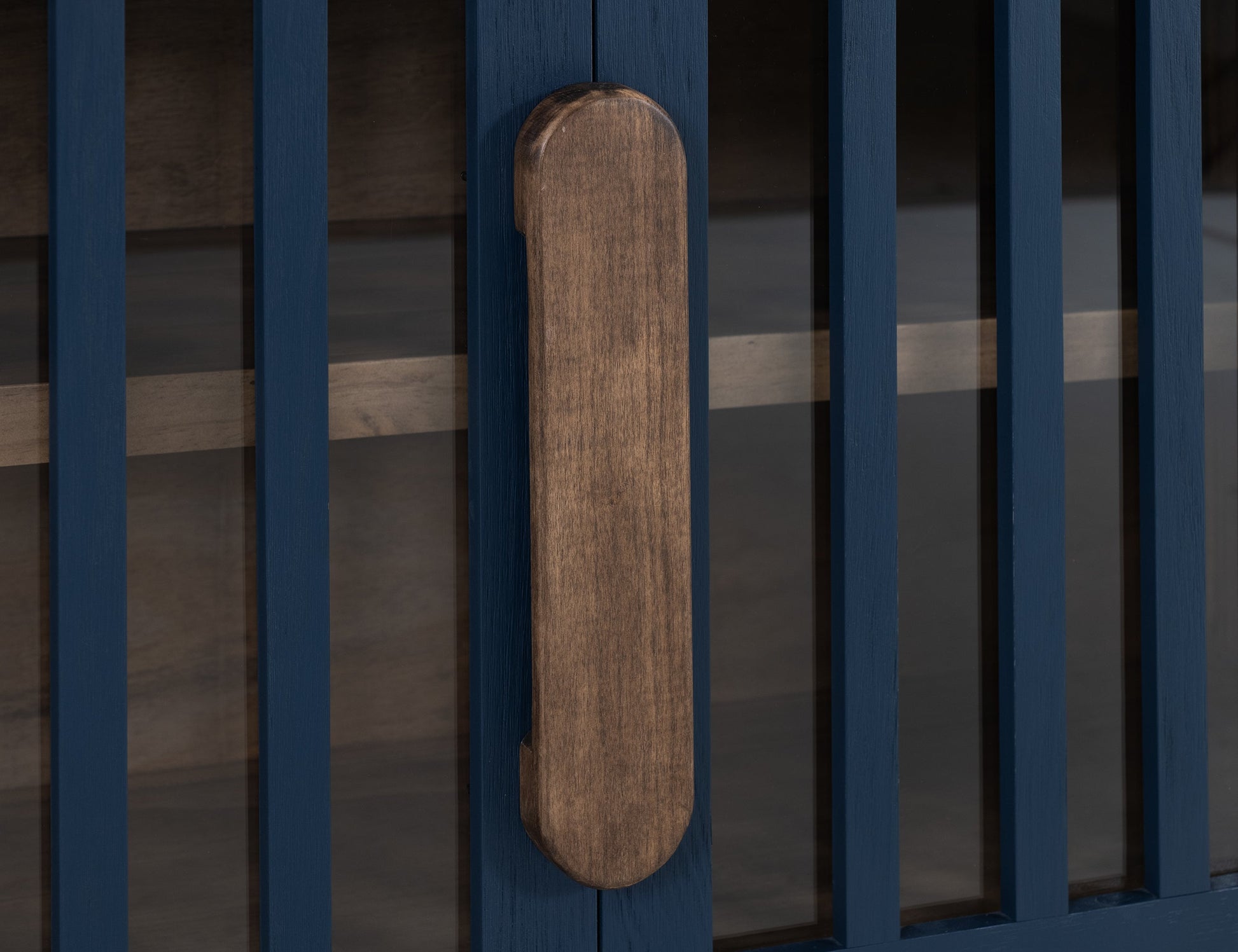 2 Door, 1 Shelf, Cosole - Indigo Blue